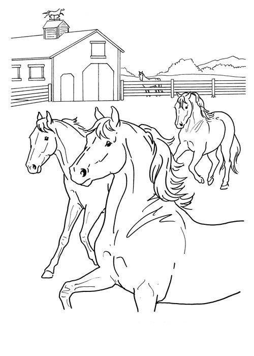 usborne horse and barn coloring pages