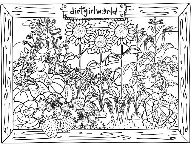 Vegetable Garden Coloring Pages