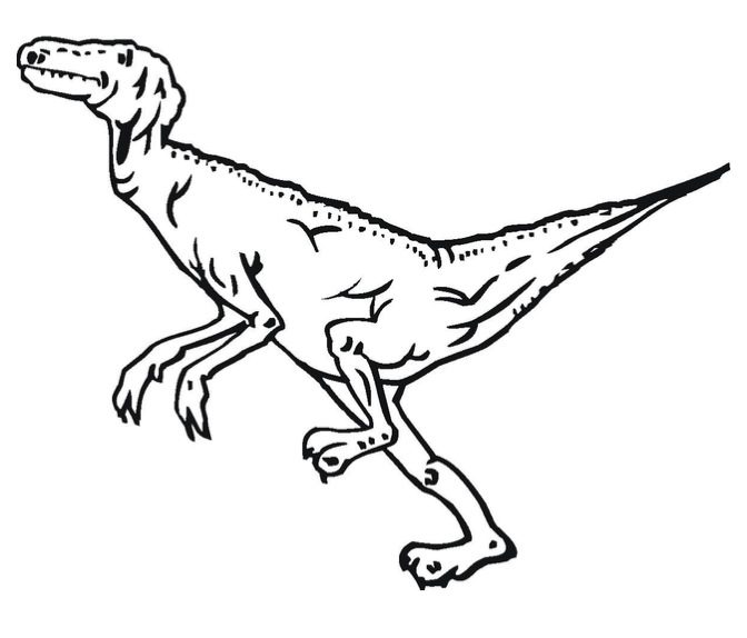 Velociraptor coloring page