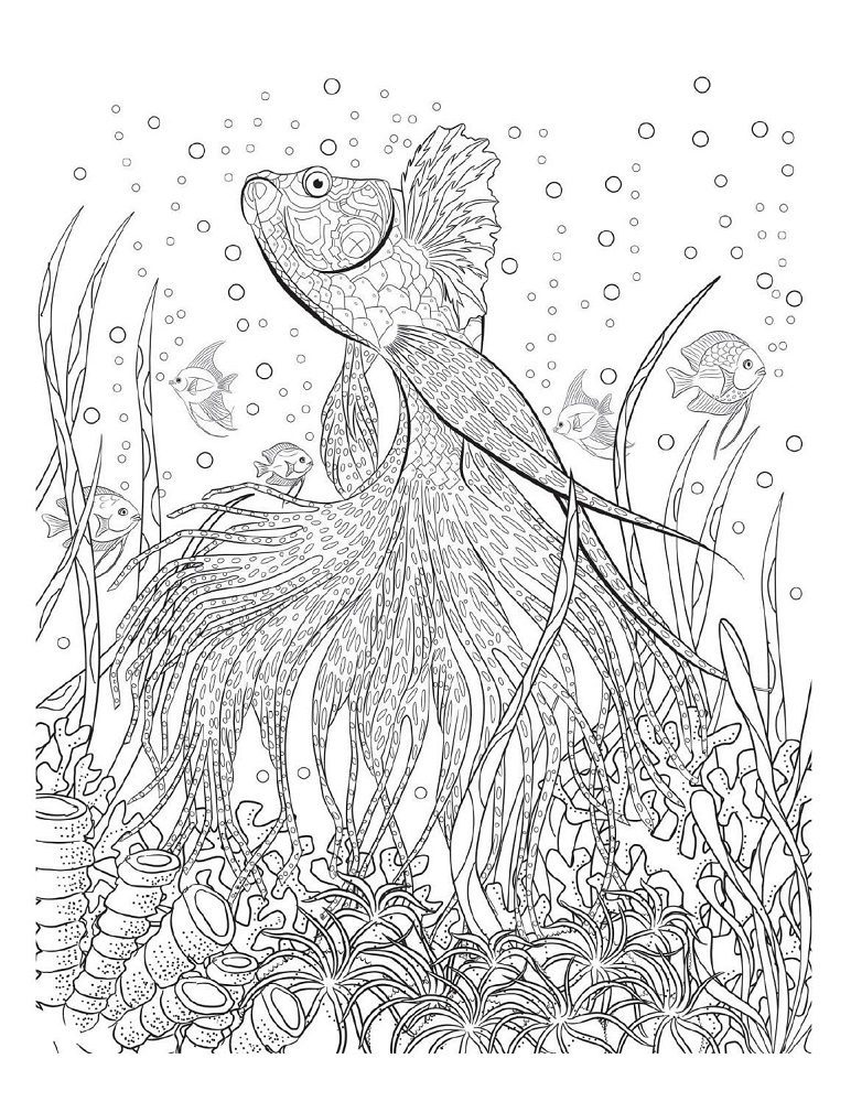 vintage water magic coloring book coloring pages
