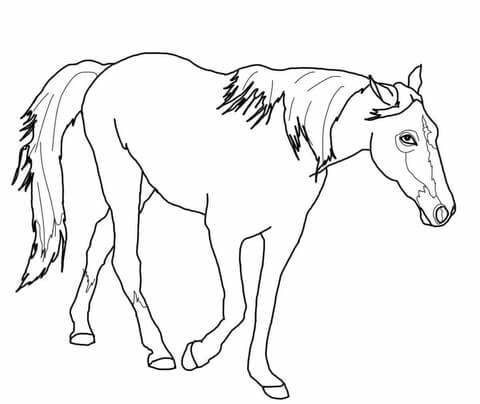 walking horse coloring pages
