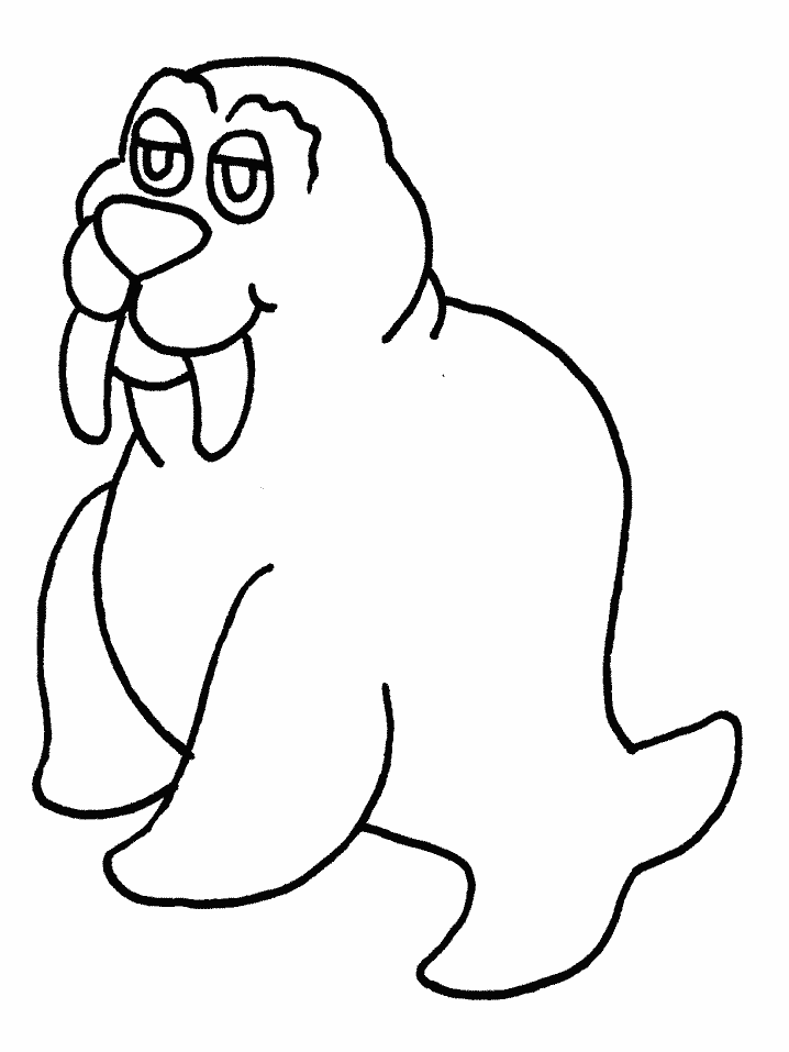 Walrus Animals Coloring Pages