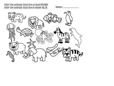 water and land animals coloring pages