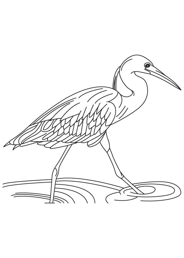 water bird coloring pages