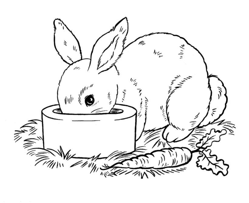 Water Bunny Coloring Pages
