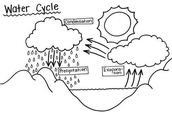 Water Cycle Coloring Page