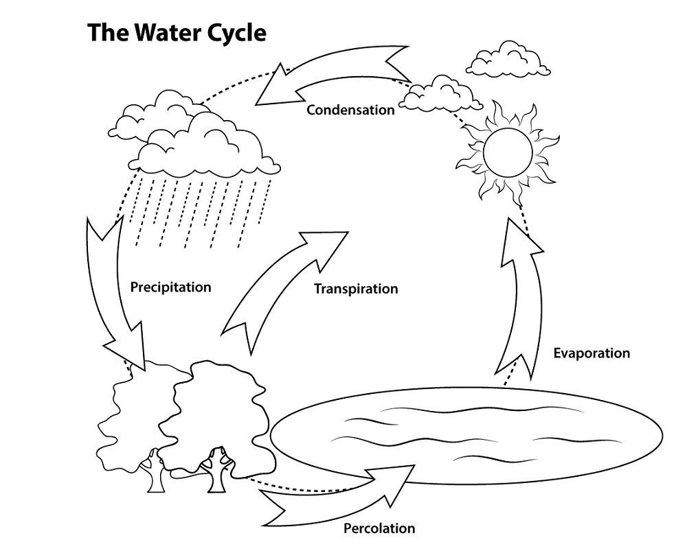 water cycle coloring pages