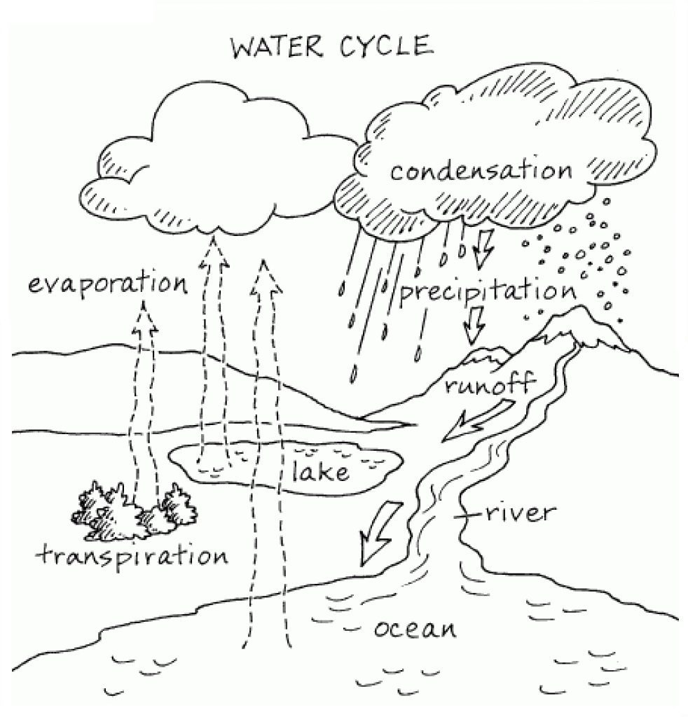 water cycle pictures coloring pages