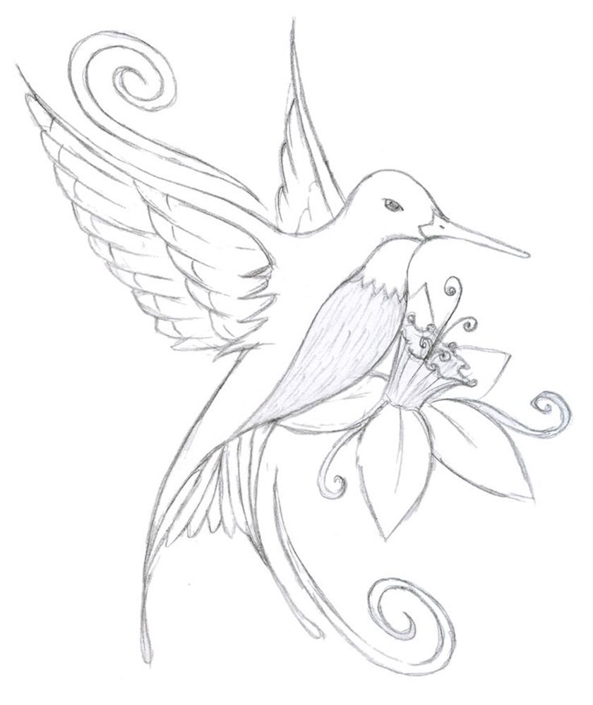 water lilly with hummingbird coloring pages