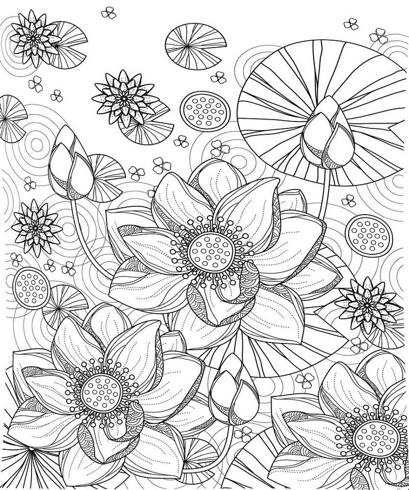 water lily adult coloring pages