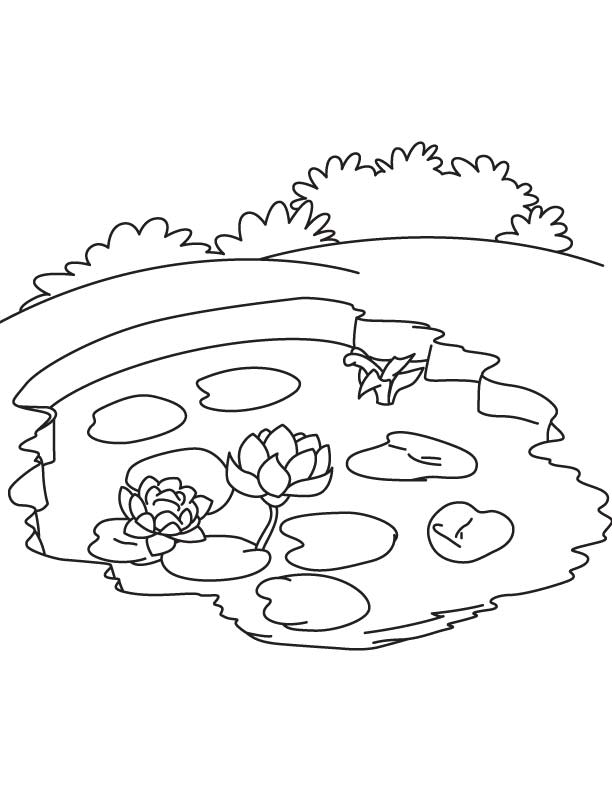 water lily pond coloring pages