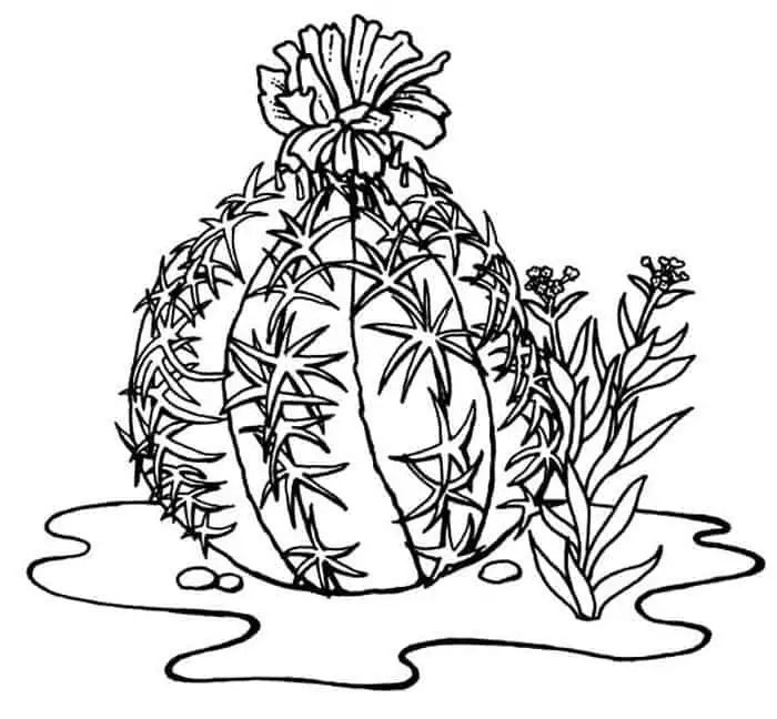 water mole pineapple cactus coloring pages