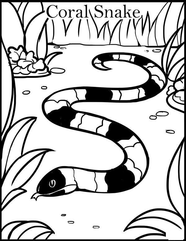 water snake coloring pages
