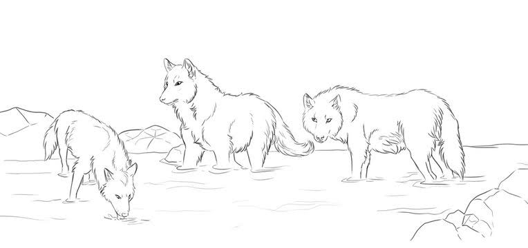 water wolf coloring pages