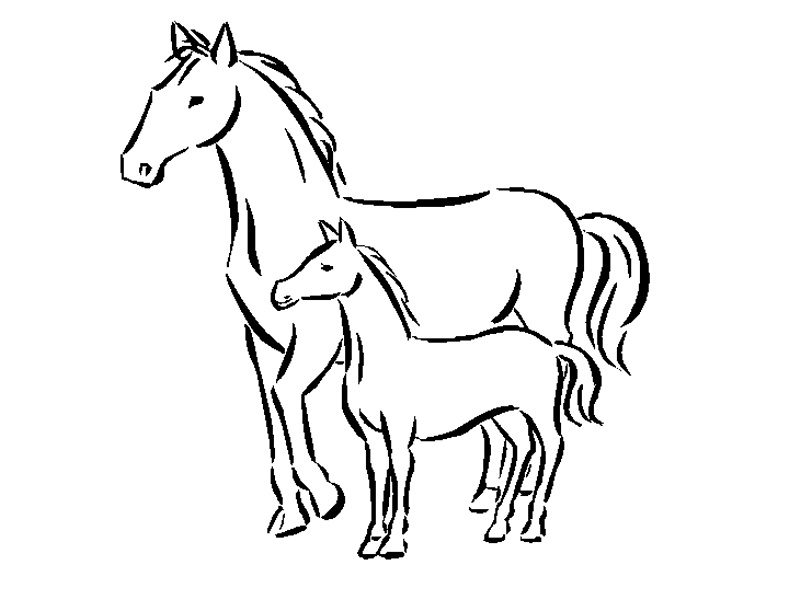 webkinz horse coloring pages