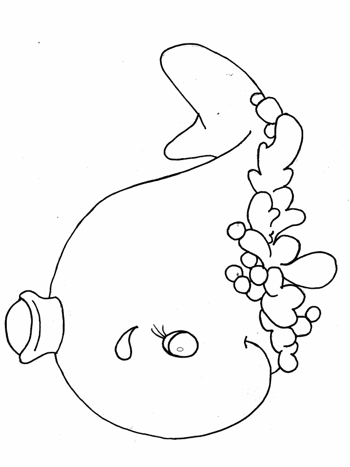 Whale Animals Coloring Pages