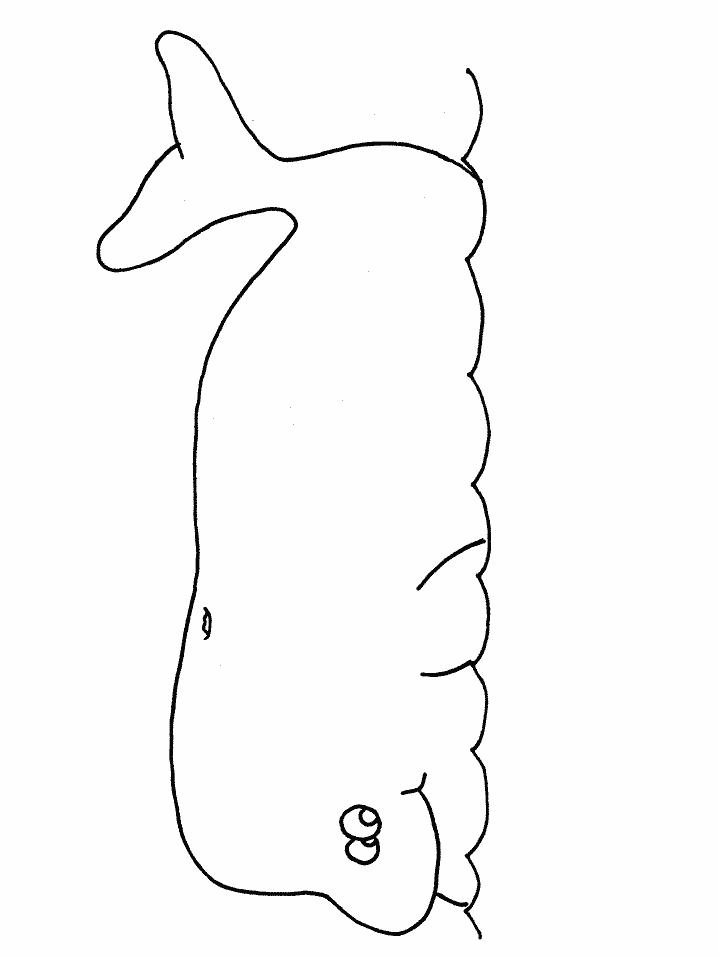 Cute Whale Coloring Pages