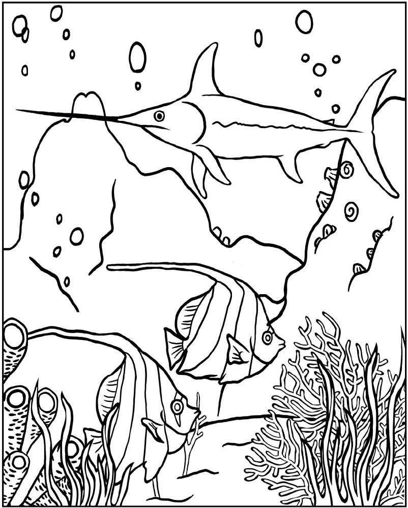 wild color wonders under water coloring pages