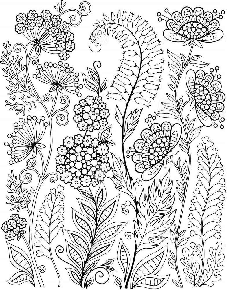wild flower coloring pages