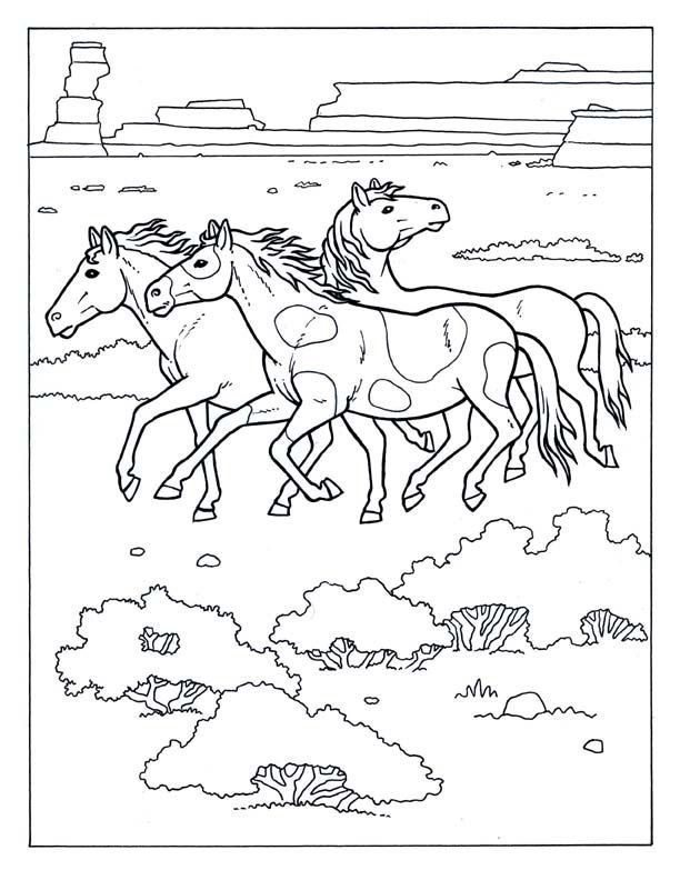 wild horse types coloring pages