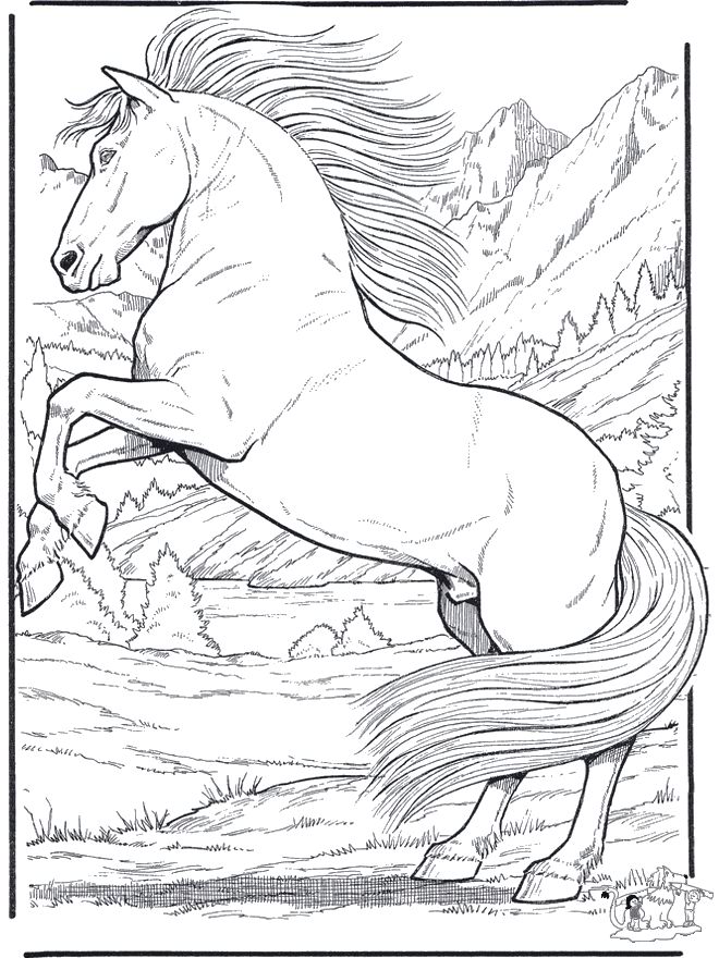 wild large free printable realistic horse coloring pages