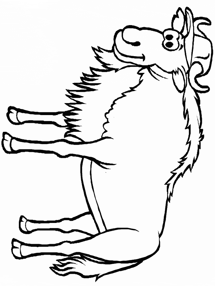 Wildebeest Animals Coloring Pages
