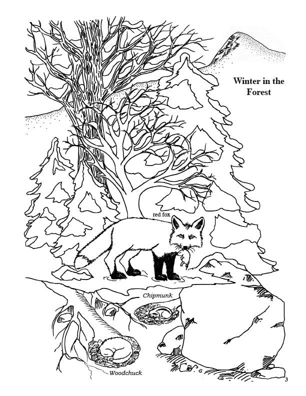 winter and coloring pages