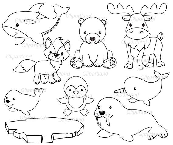 winter animal coloring pages printable