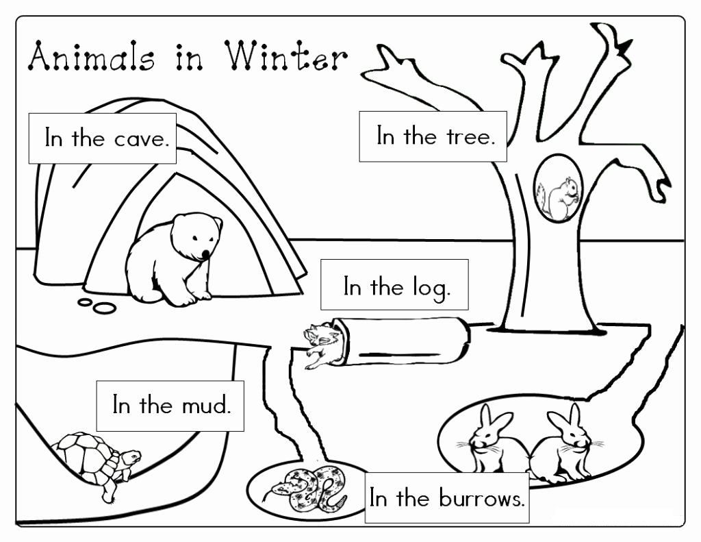winter animal hibernation coloring pages