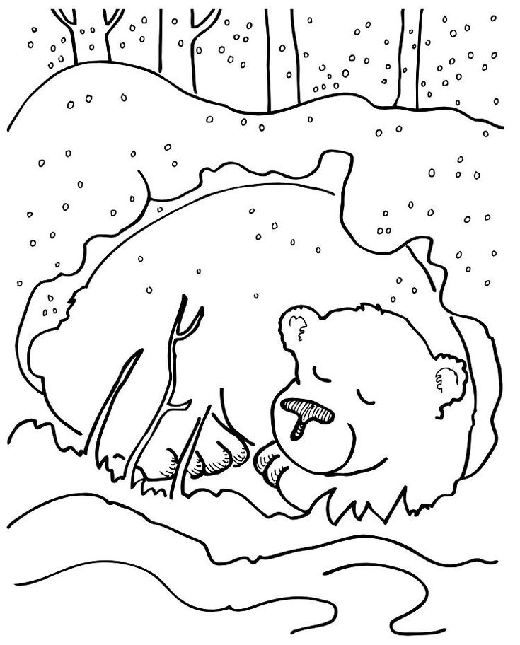 winter bear coloring pages