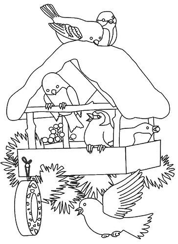 winter birds coloring pages