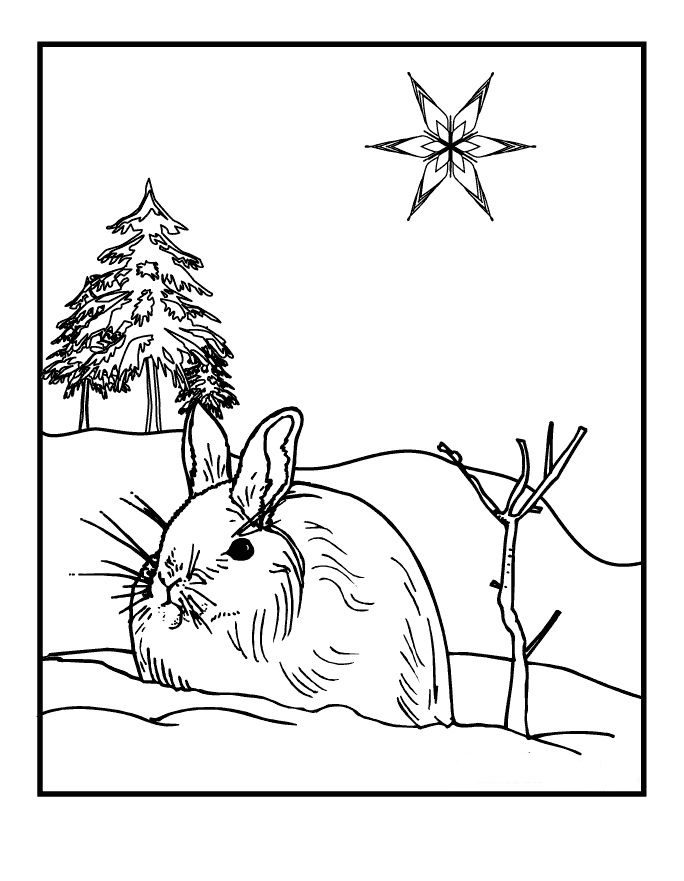 winter coloring pages preschoolers