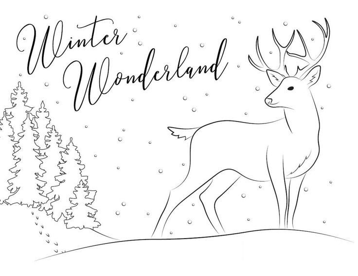 winter deer coloring pages