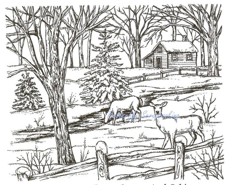 Winter Snowflake Coloring Page & coloring book.