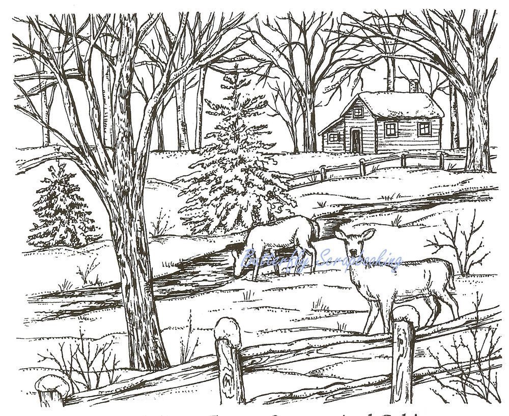 winter in the woods coloring pages