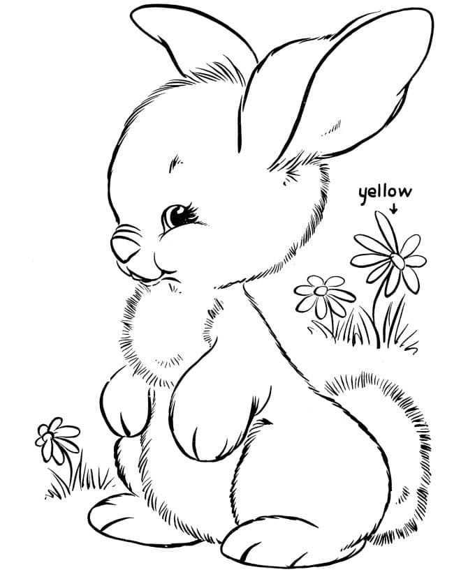 winter rabbit coloring pages
