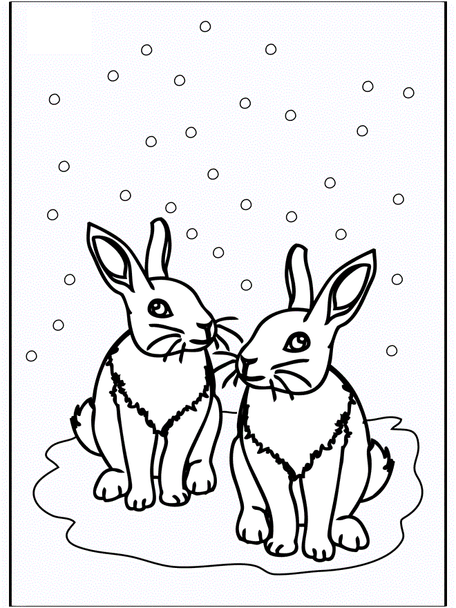 winter rabit coloring pages