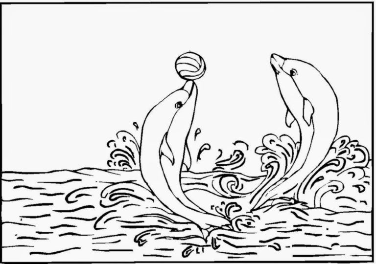 winter the dolphin coloring pages