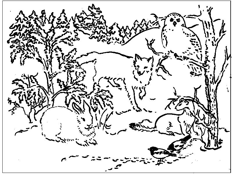 winter wildlife coloring pages
