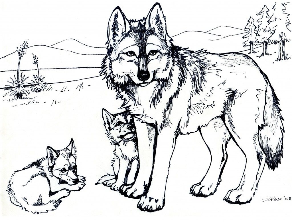winter wolf coloring pages
