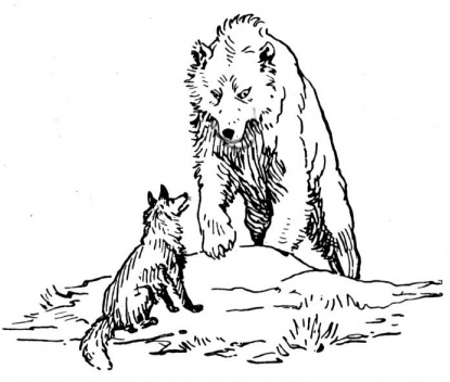 Wolf vs Bear Coloring page