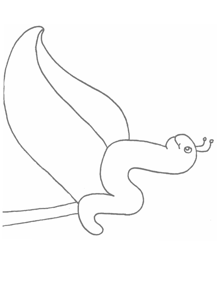 Worm Animals Coloring Pages