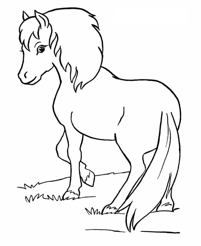 yenna horse coloring pages