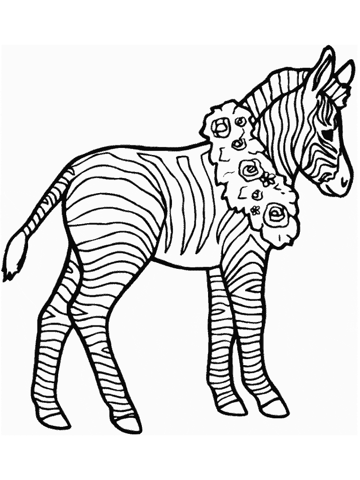 Zebra Coloring Page Printable